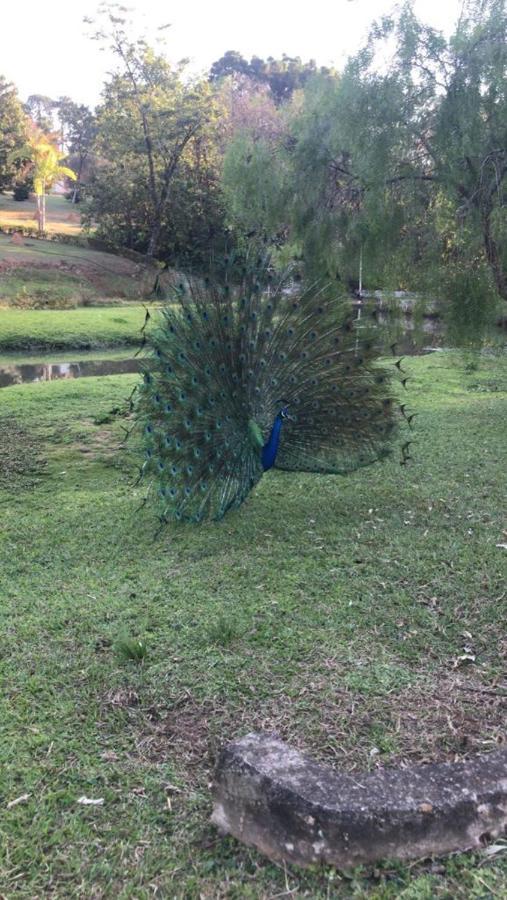 אינדאיטובה Polo Hotel Fazenda מראה חיצוני תמונה